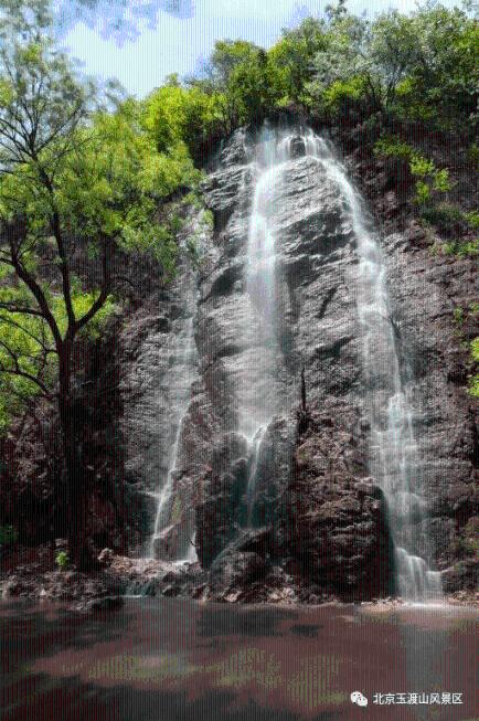 沪江开心词场