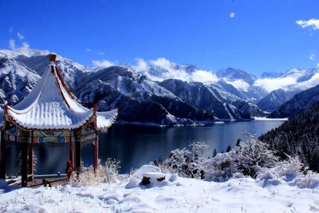 QQ企鹅